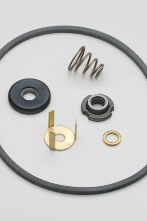 Brand New Bell & Gossett 189577LF Seal Kit for PL-55B