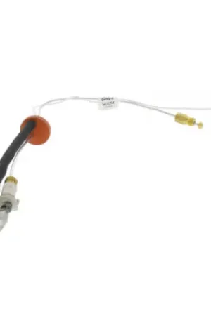Rheem-Ruud AP14698B-1 Pilot Assembly - NG In Demand