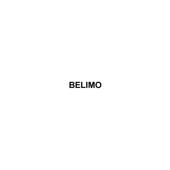 Belimo B313B+TFRB24 CCV Actuator 3 Way 4.7 Cv Spring Return 24V Trusted Brand