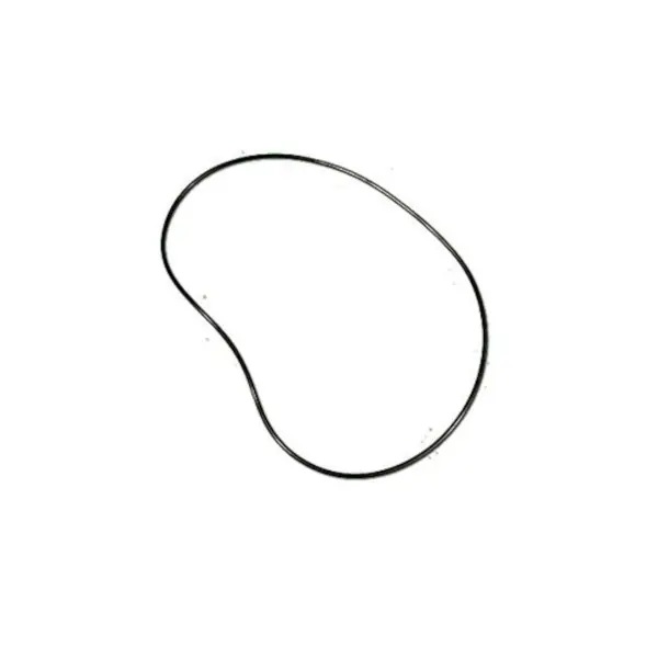 In Demand O-Ring, Pump, Aqua-Flo XP3 : 92200310
