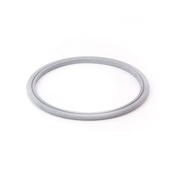 Gasket, CMP, Top Mount Filter : 26200-201-745 Get Yours