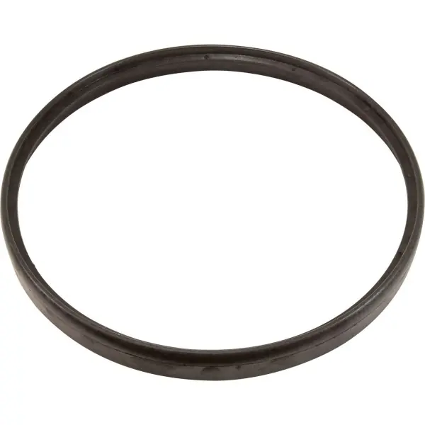 Trusted Brand Ring, Hayward AquaBug Cleaner : AXV458