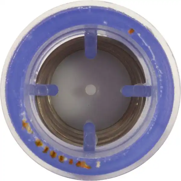 Delcheck 5Number Check Valve 2" : CO-0103 Special Discount