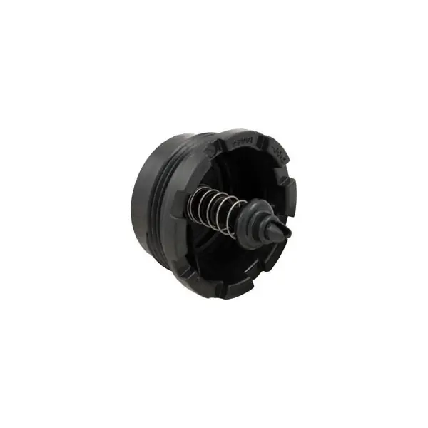 Spring Check Valve, Pentair Sta-Rite System 2 : 27001-0130S Budget
