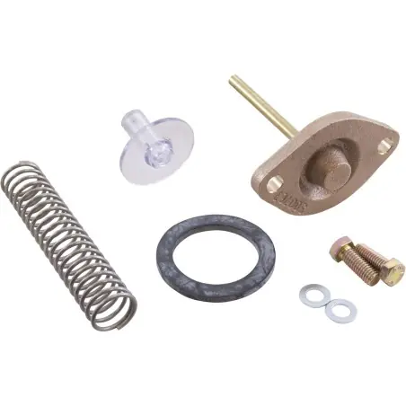 Bypass Assembly, Zodiac Laars HI-E2 : R0304400 Mega Sale