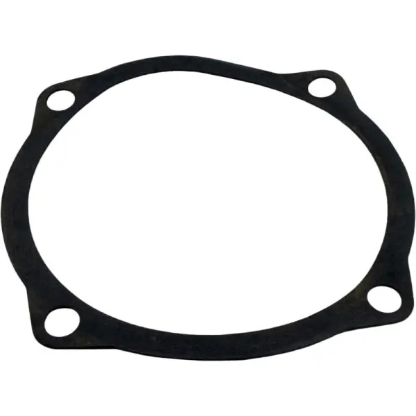 Gasket, Waterco Hydro 5000, Seal Plate, 6-5/8"ID, 7-5/8"OD : 19B5025 Hot Picks