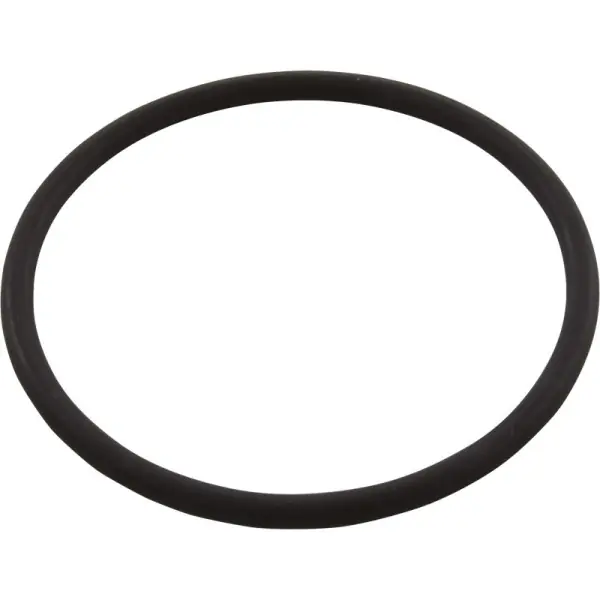 O-Ring, Astral Sprint 2000, Diffuser, 2-3/8"ID, 1/8"CS : 4405010161 Low Price