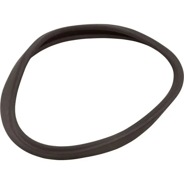 Gasket, Anthony Pool Light, Lens, Generic : Secure Checkout